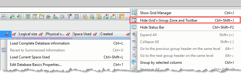 'Hide Grid's Group Zone and Toolbar'- menu