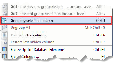 'Group grid data by selected column' menu