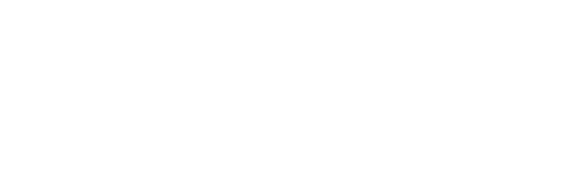 lion-electric-logo